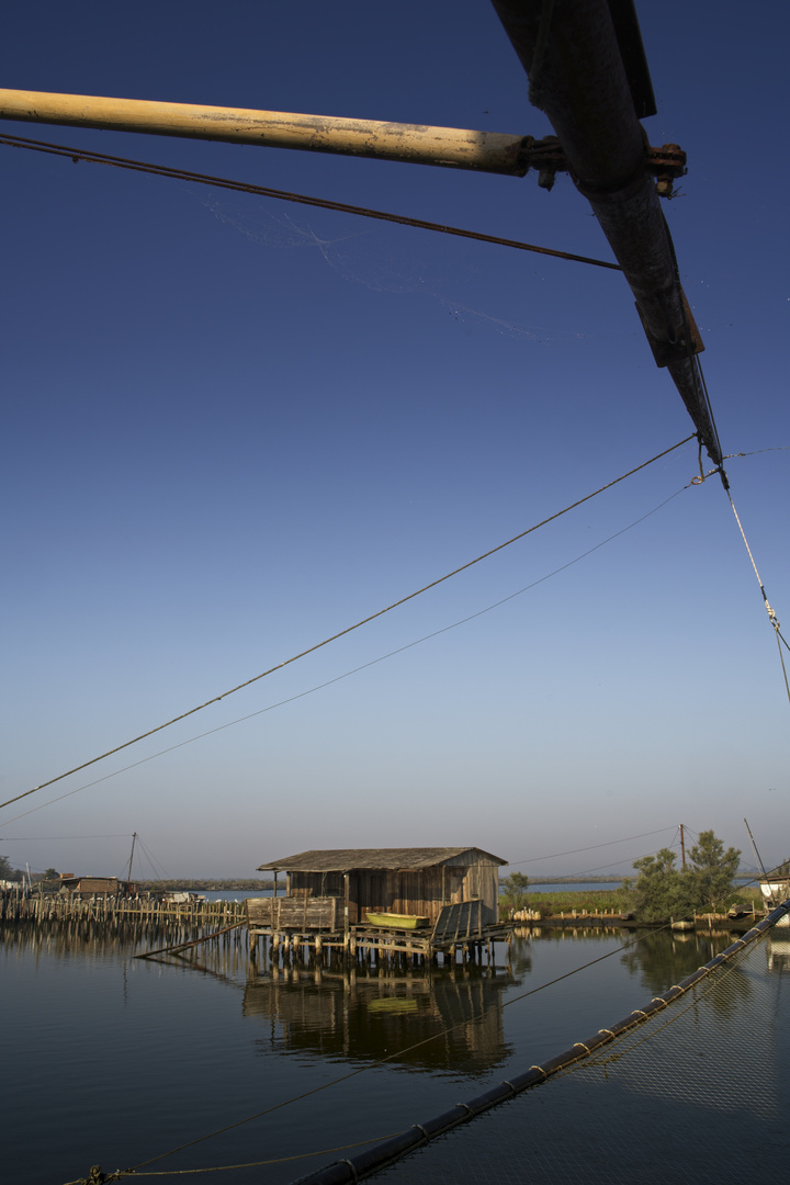  Le Valli di Comacchio 3