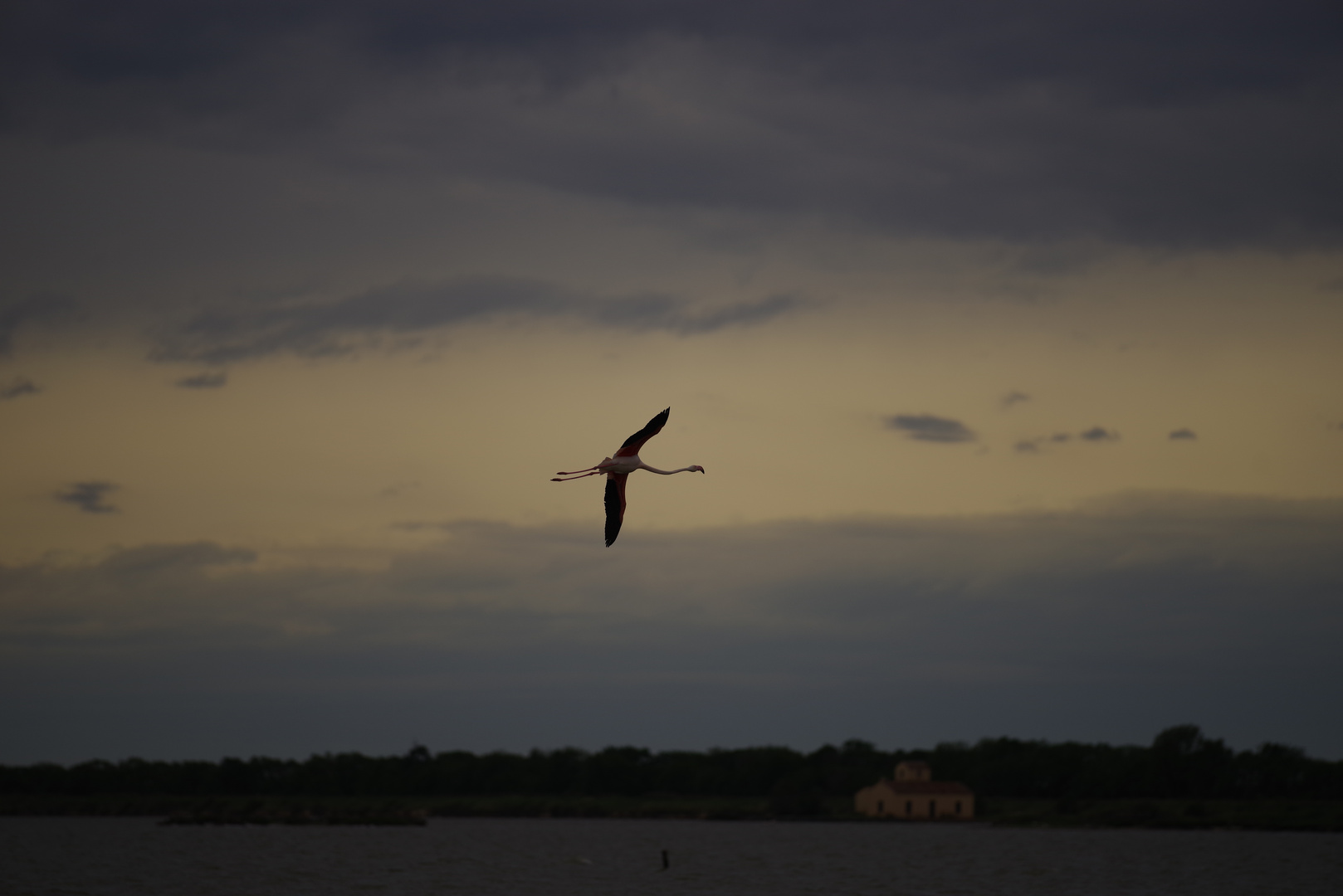 LE VALLI  DI  COMACCHIO