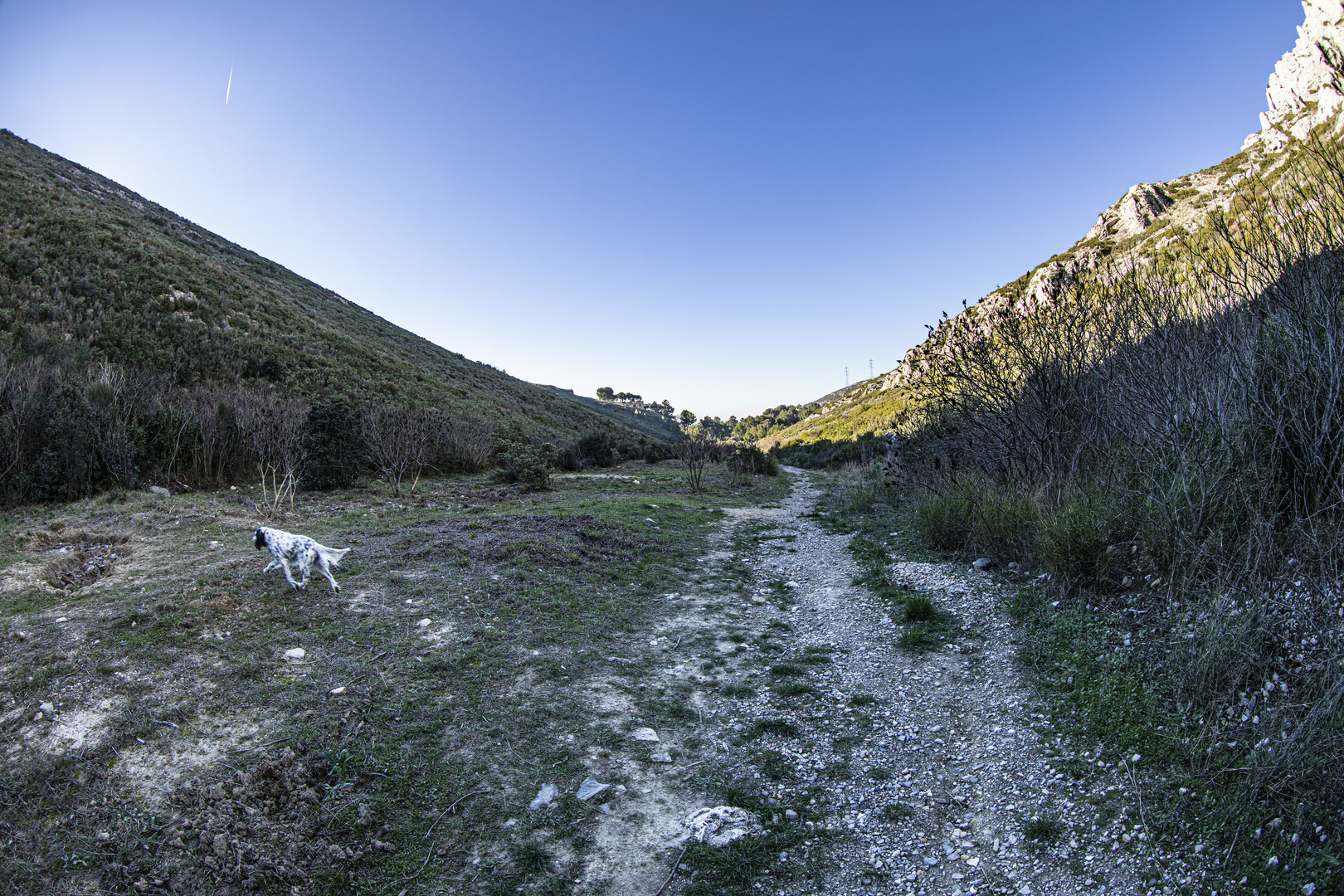 Le vallon d'Harley