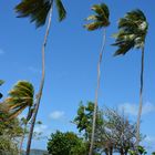 Le Vauclain Martinique