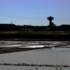 Le vecchie SALINE di Cervia (epoca Etrusca ancora funzionanti)