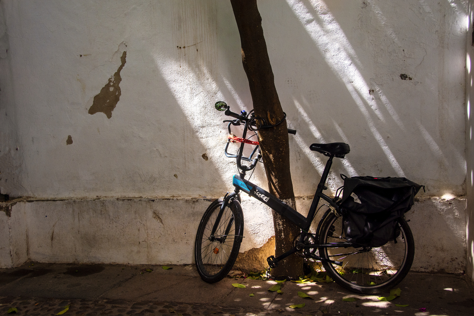 le velo au repos