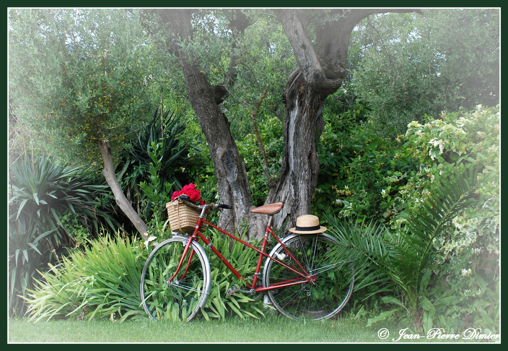 le vélo