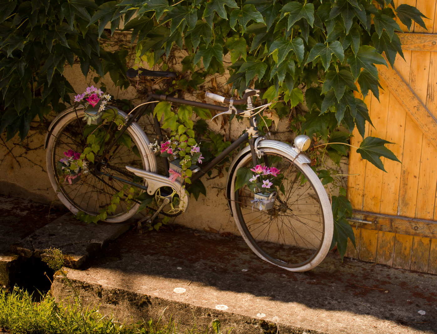 Le vélo champêtre