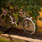 Le vélo champêtre