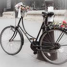 Le vélo de la mariée...
