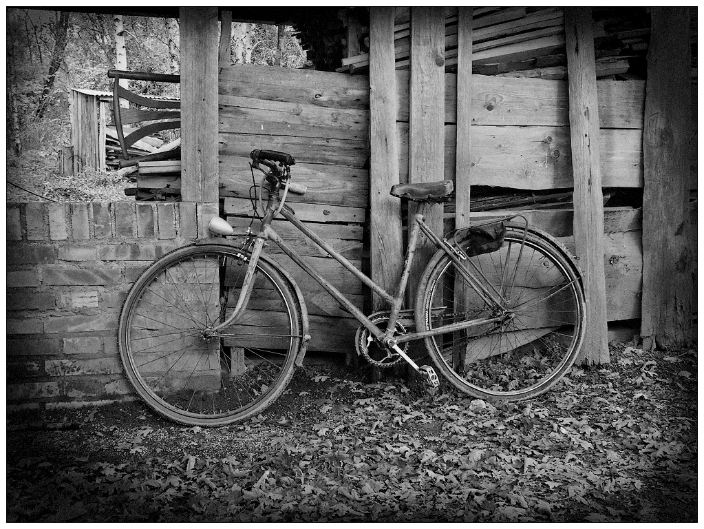 Le vélo du potier