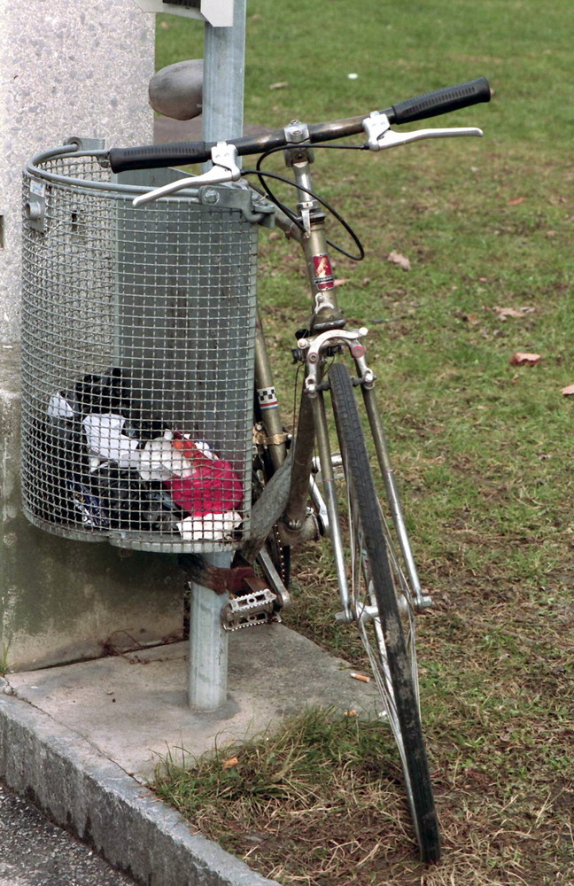 Le vélo et la poubelle