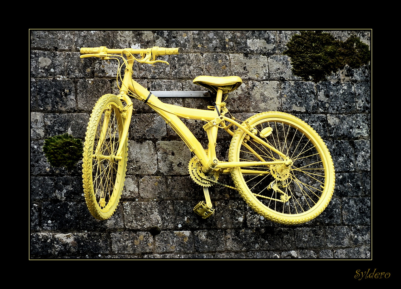 Le vélo jaune