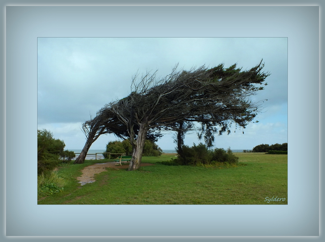 Le vent vient du large