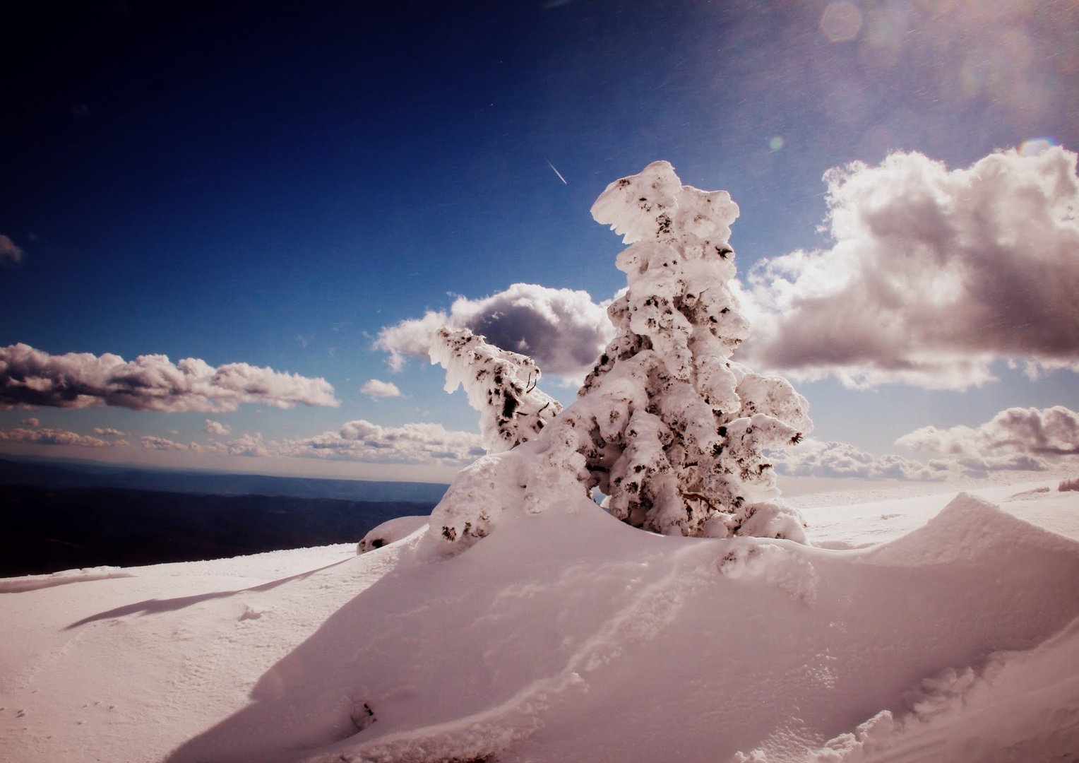 Le Ventoux 2