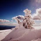 Le Ventoux 2