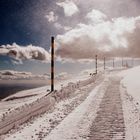 Le Ventoux 5