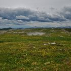 "Le Vercors dans toute sa splendeur"