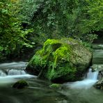 Le verdi acque di Monte Gelato