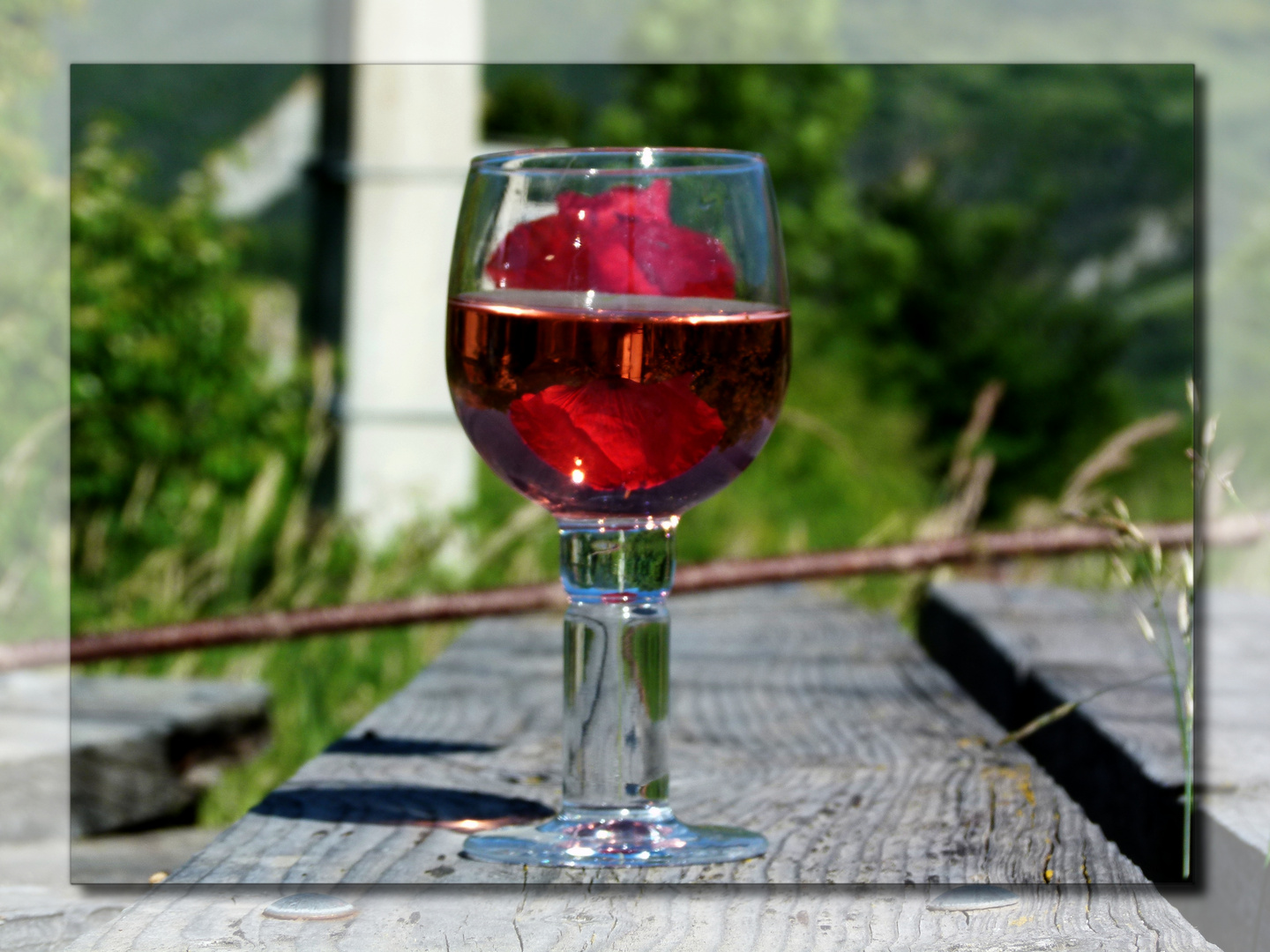 Le Verre De L Amitie Photo Et Image Emotions Verre Special Images Fotocommunity