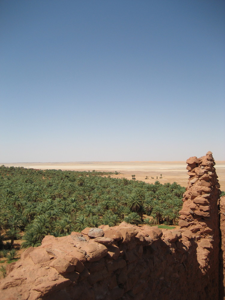 Le vert dans le desert 2