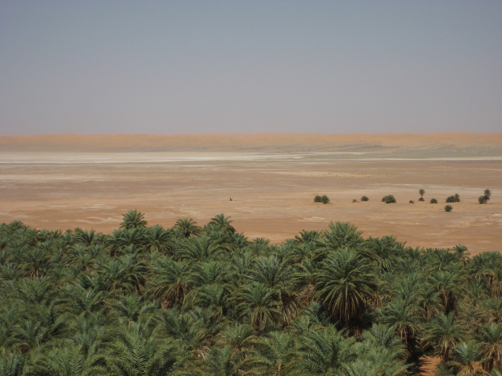 Le vert dans le desert