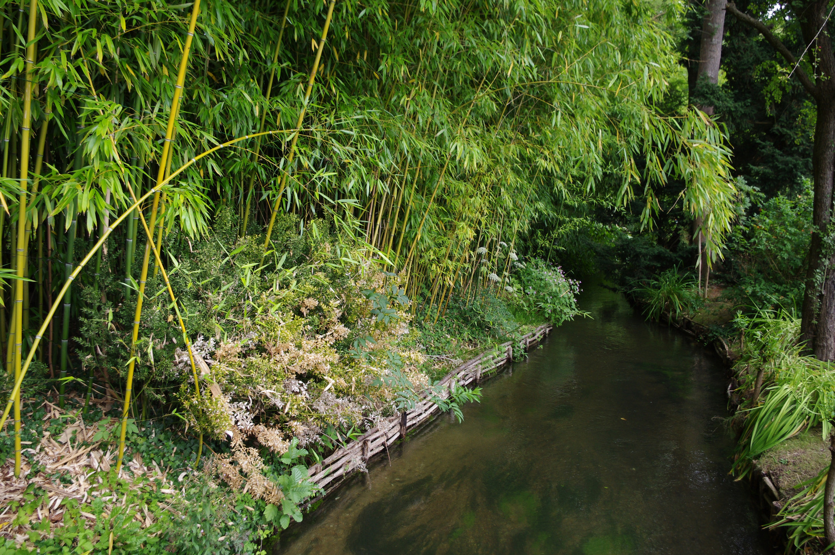 Le vert de Claude MONET