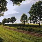 Le vert de la campagne gersoise