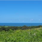 Le vert des collines de la Corniche Basque