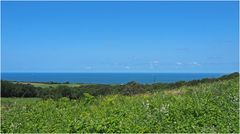 Le vert des collines de la Corniche Basque