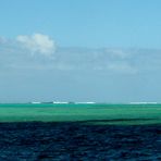 Le vert des mers du sud