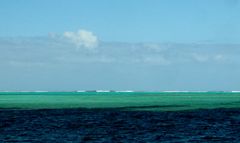 Le vert des mers du sud