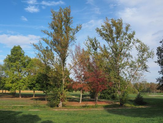 Le vert fait de la résistance…
