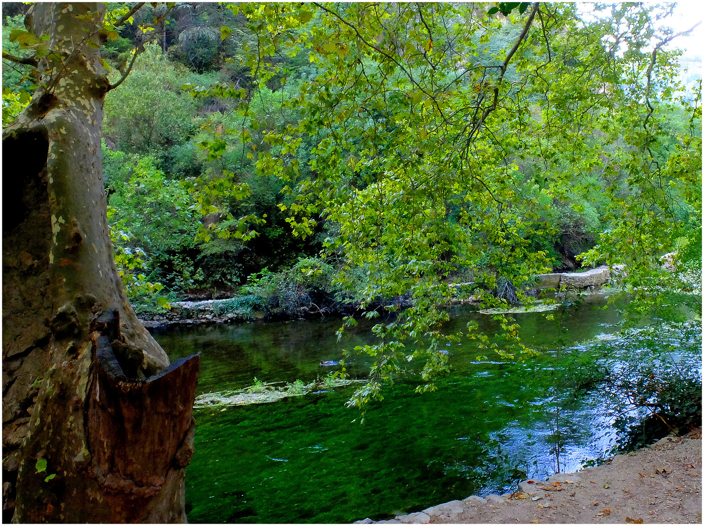 Le "vert Sorgue"