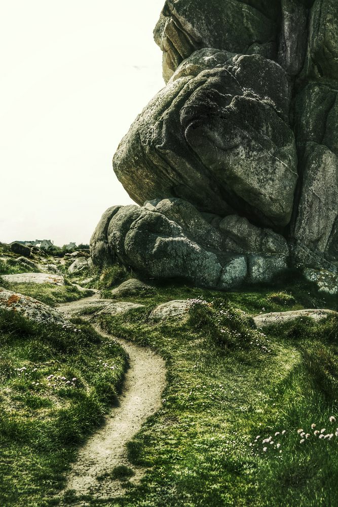 Le vert sur le bord du chemin