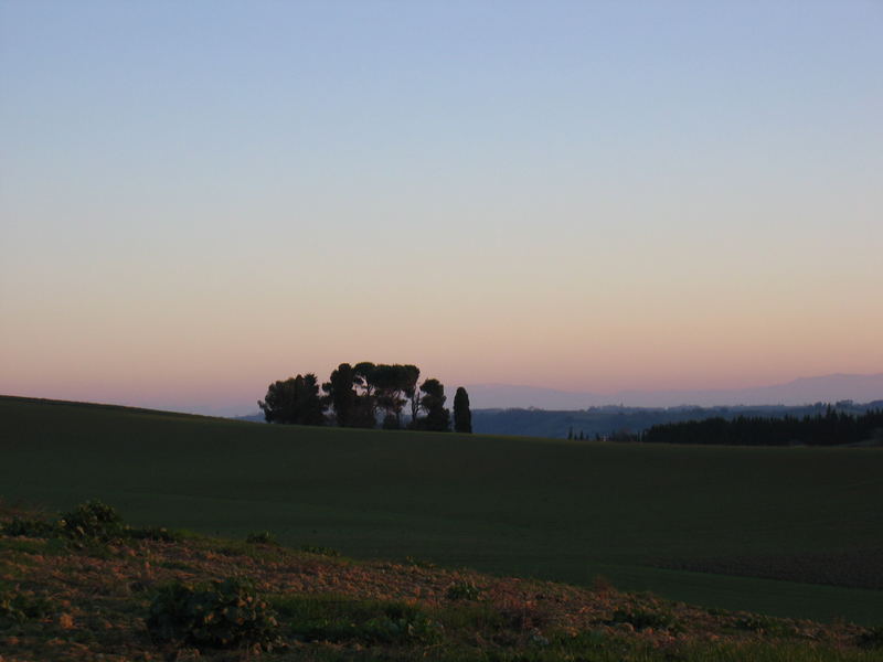 île verte