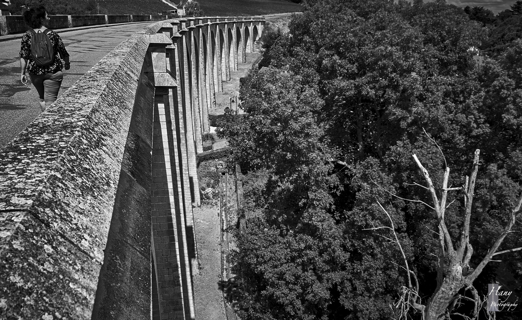 Le viaduc de Saint Satur 