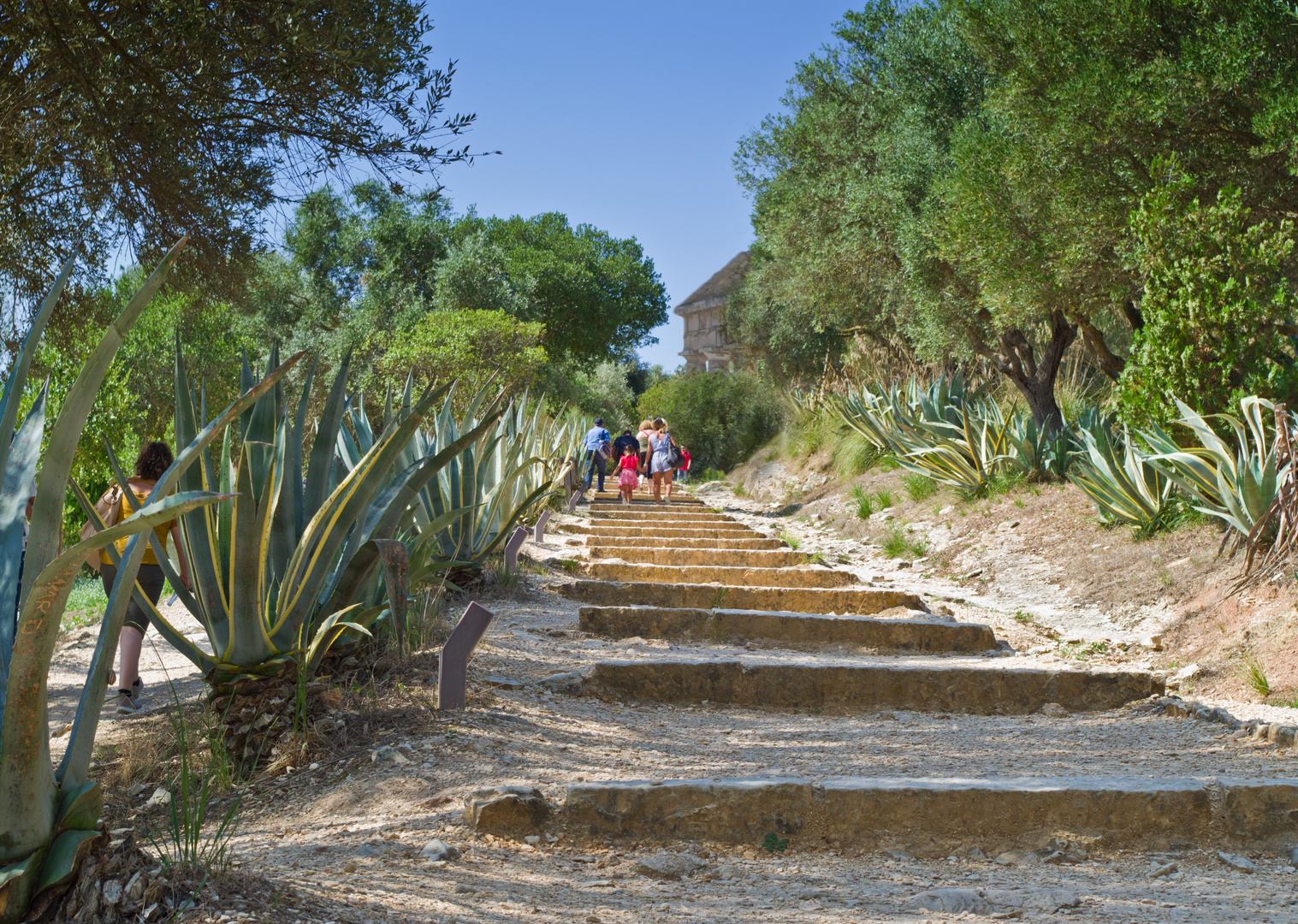 Le vie al Tempio