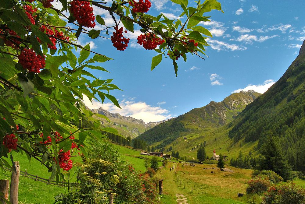 Le Vie del Paradiso: Santo Spirito