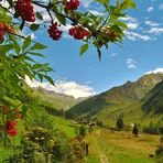 Le Vie del Paradiso: Santo Spirito