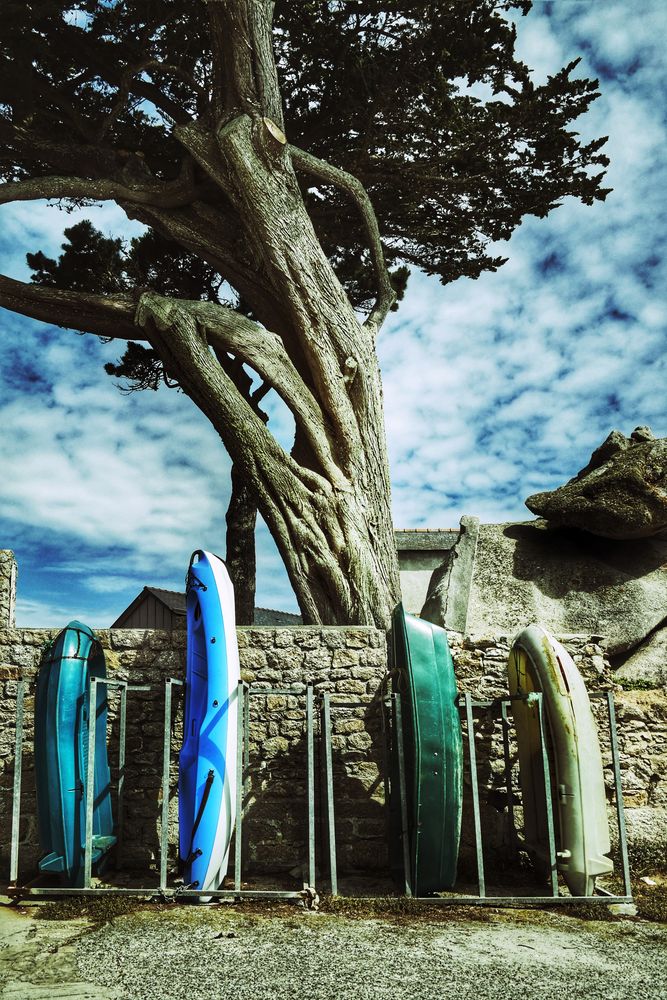 Le vieil arbre près des 4 bateaux