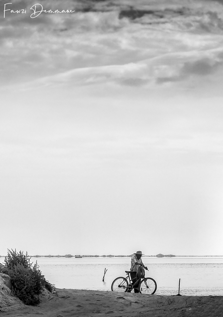 Le vieil homme et le vélo