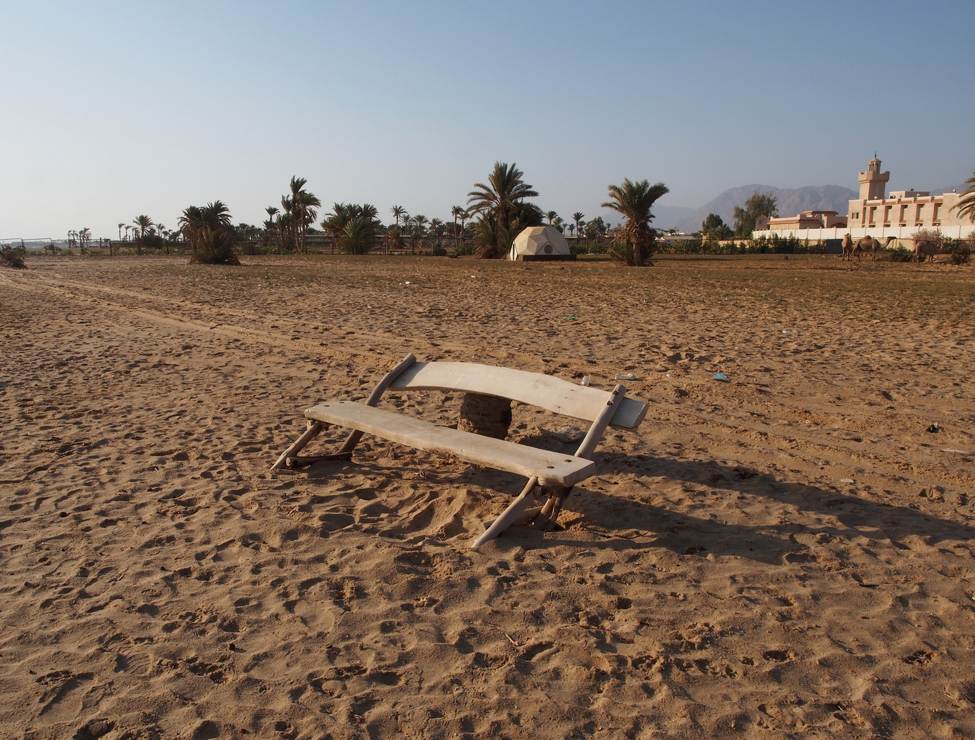 Le vieux banc