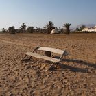 Le vieux banc