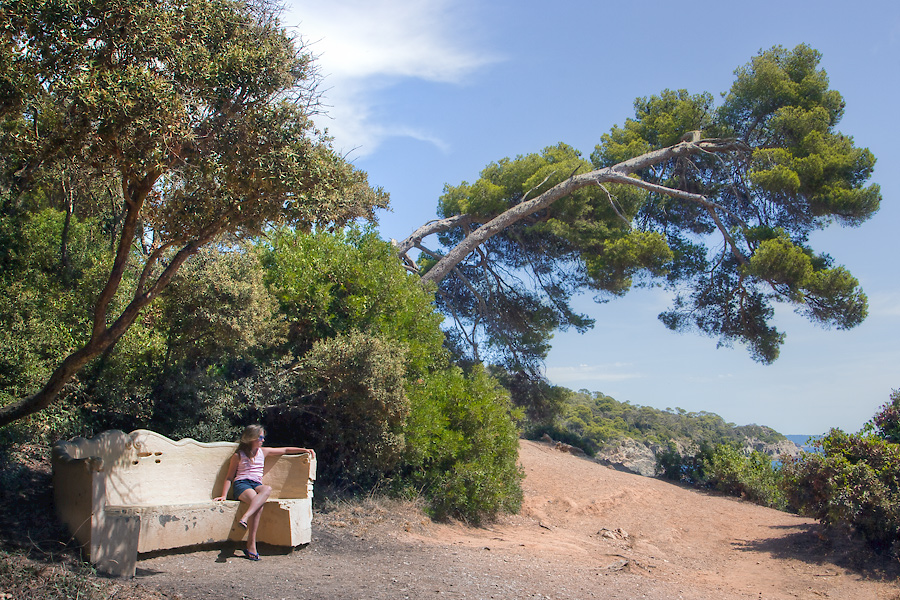 Le vieux banc