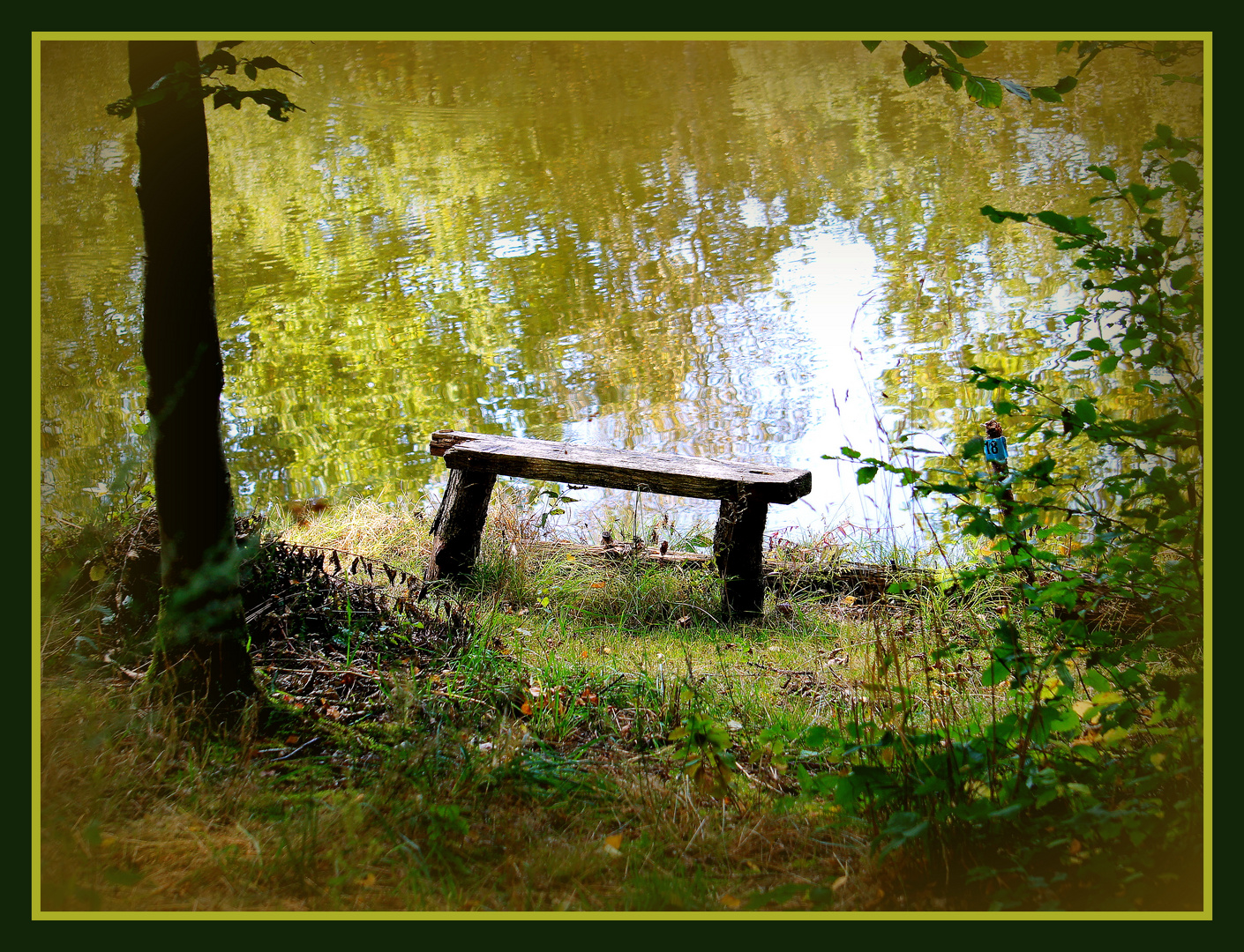 le vieux banc