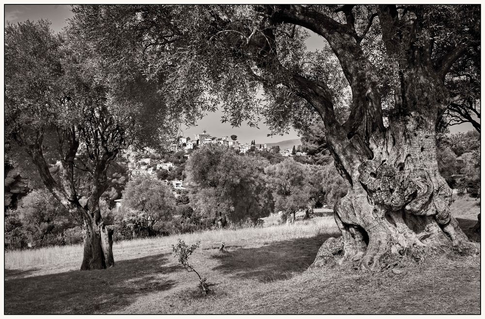 Le Vieux Cagnes