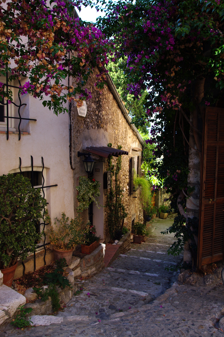 Le vieux Cagnes/Mer