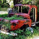 le vieux camion rouge