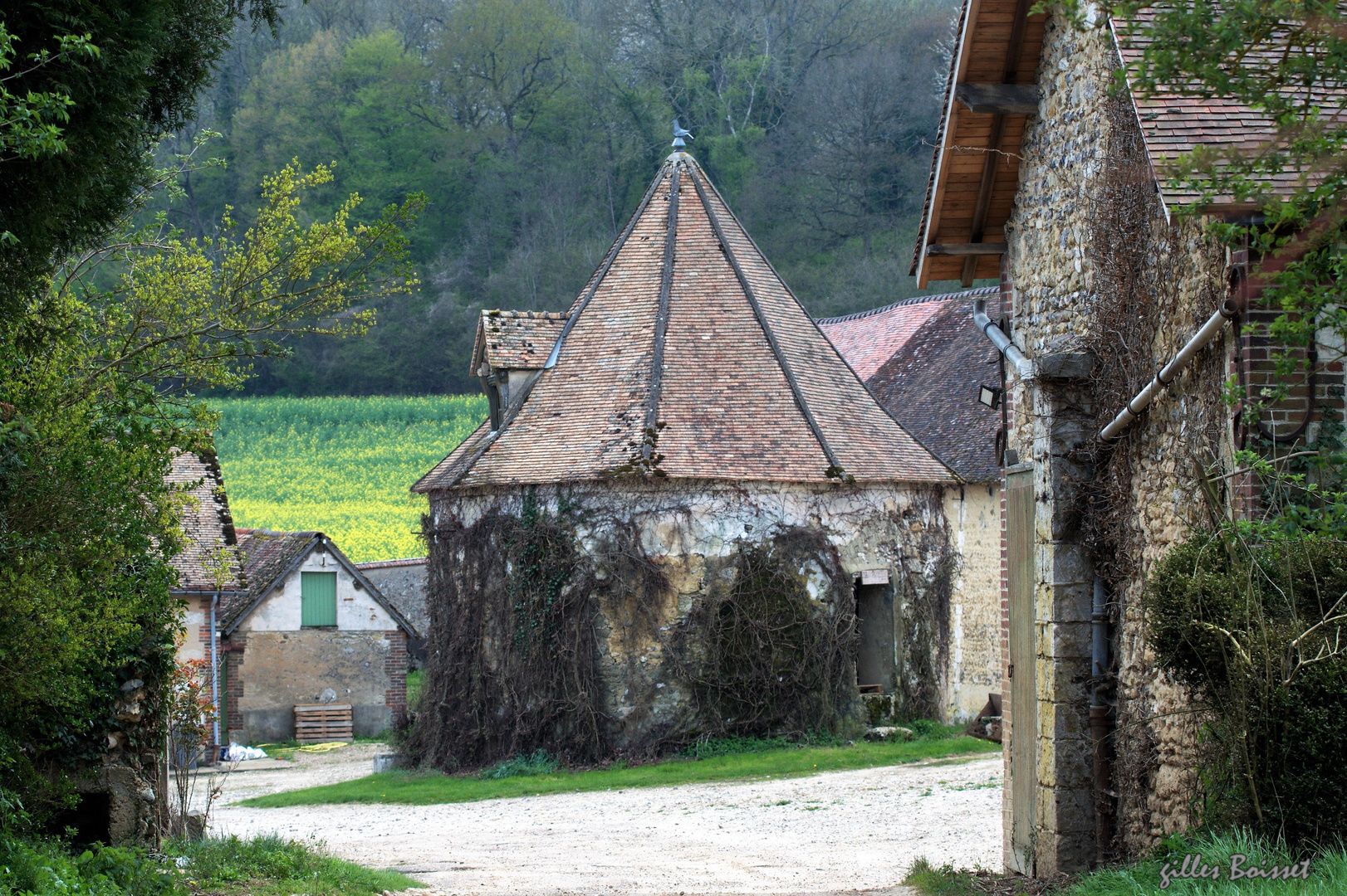 le vieux colombier