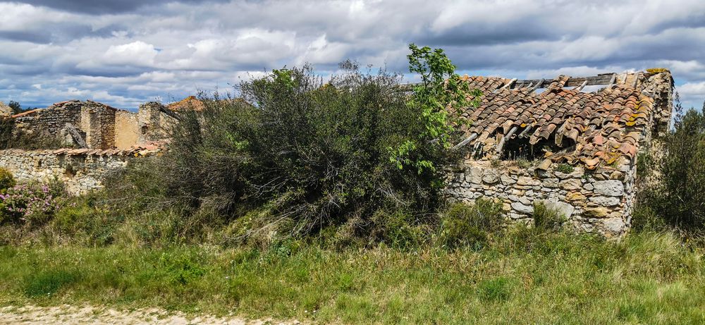 le vieux domaine