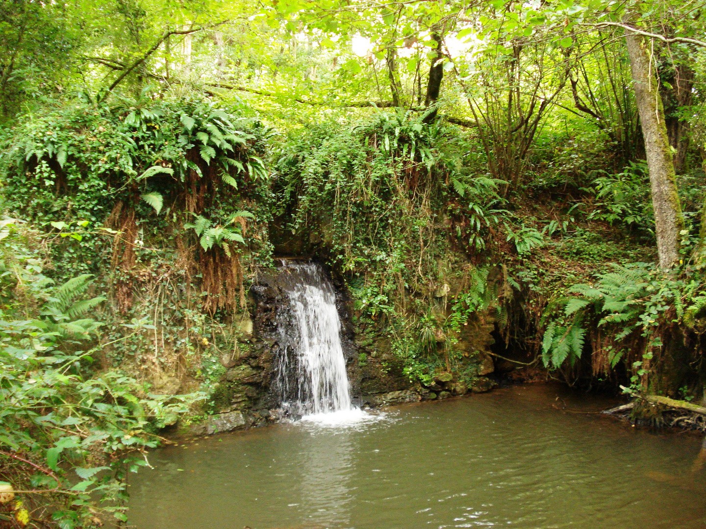 Le vieux moulin