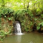 Le vieux moulin