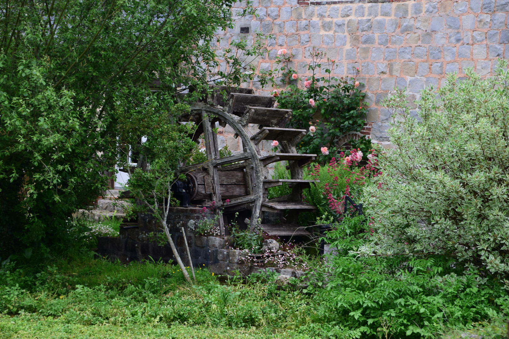 le vieux moulin 